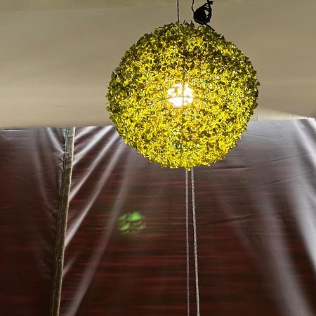 Rukmani Villas Group Of Rukmani Home Stay Матура Екстериор снимка
